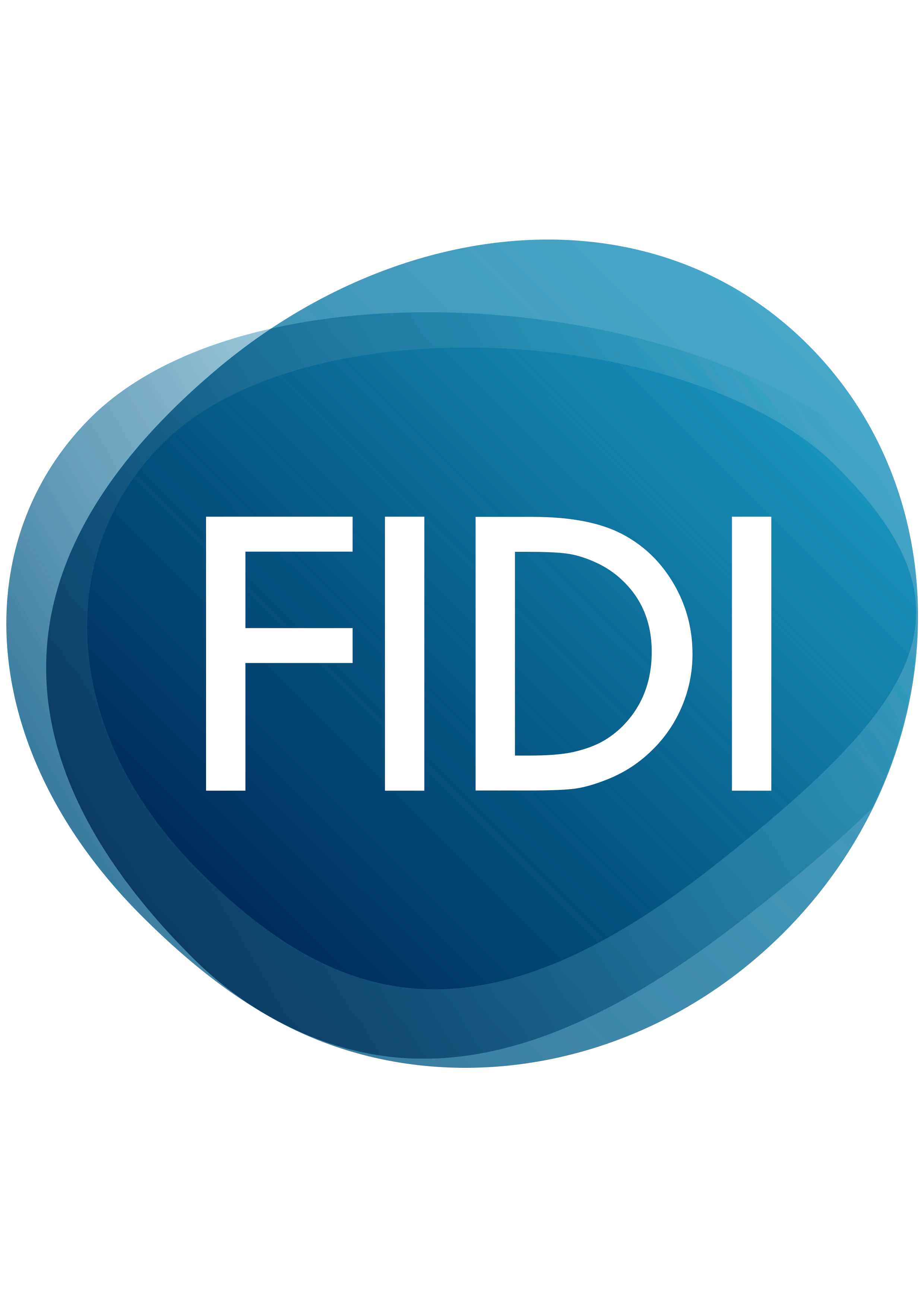 Logo Fidi